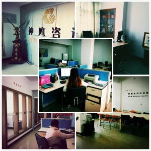 臺州神鷹信息咨詢服務 權威解讀與專業(yè)支持